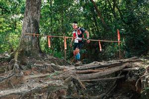 BIB: 
                            <button type="button" onclick="openModal(27801972)" class="btn btn-primary btn-sm float-right btn-popup" data-toggle="modal" data-target=".modal-high-quality">
                        <i class="fas fa-shopping-cart"></i> Add to Cart
                    </button>
                                            <button type="button" onclick="isThisMe(27801972, true)" class="btn btn-success btn-sm float-right btn-popup btn-isme hidden" data-toggle="tooltip" data-placement="bottom" title="นี่คือรูปของคุณใช่ไหม คลิกที่นี่เพื่อเอาเข้าอัลบั้ม">
                        <i class="fas fa-plus"></i> Add to album
                    </button>
                    <button type="button" onclick="isThisMe(27801972, false)" class="btn btn-warning btn-sm float-right btn-popup btn-isnotme hidden">
                        <i class="fas fa-ban"></i> Remove from album
                    </button>